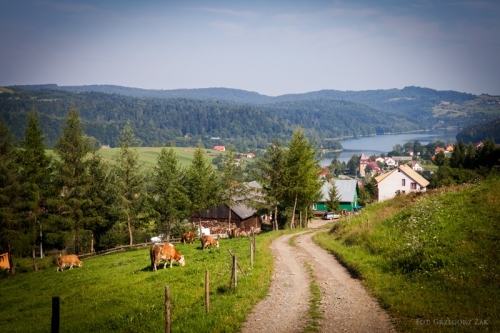 bieszczady.jpg